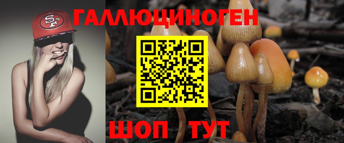 Псилоцибиновые грибы MAGIC MUSHROOMS  Псилоцибиновые грибы Psilocybine cubensis  Вход с VPN  Алушта 