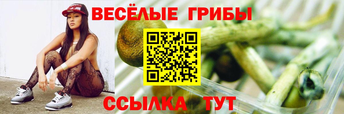 Псилоцибиновые грибы GOLDEN TEACHER Алушта